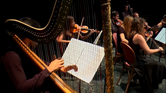 IBERIAN SINFONIETTA CONTINÚA SU TEMPORADA CON HAYDN Y MOZART